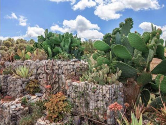 Casa Rural en venta en Pla de Mallorca, Baleares