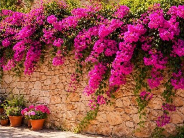 Casa Rural en venta en Pla de Mallorca, Baleares