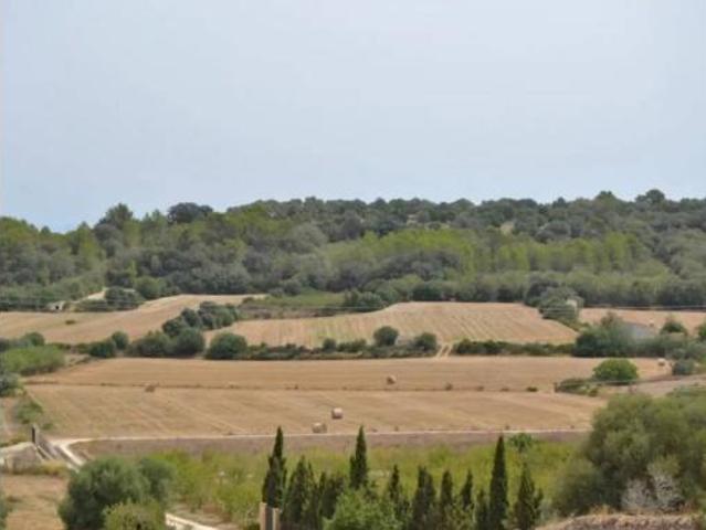 Casa Rural en venta en Pla de Mallorca, Baleares