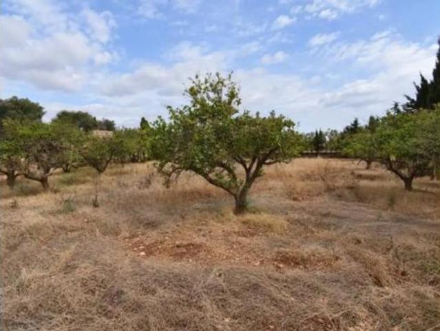 Casa Rural en venta en Pla de Mallorca, Baleares