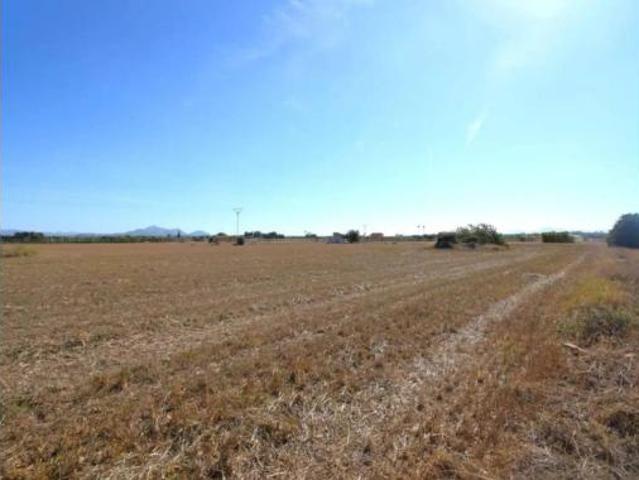 Casa Rural en venta en Platja de Muro, Pla de Mallorca