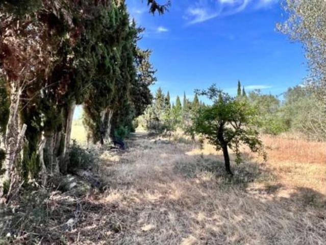 Casa Rural en venta en Pla de Mallorca, Baleares