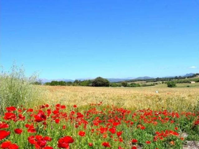 Casa Rural en venta en Pla de Mallorca, Baleares