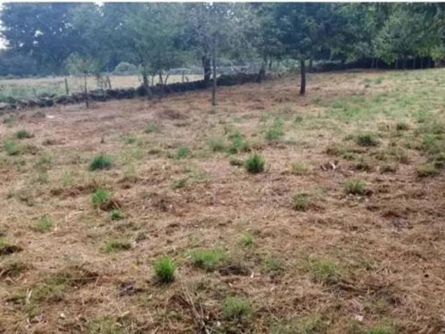 Casa Rural en venta en O Saviñao, Terra de Lemos