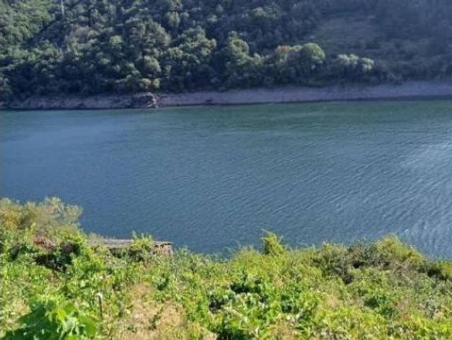 Casa Rural en venta en O Saviñao, Terra de Lemos