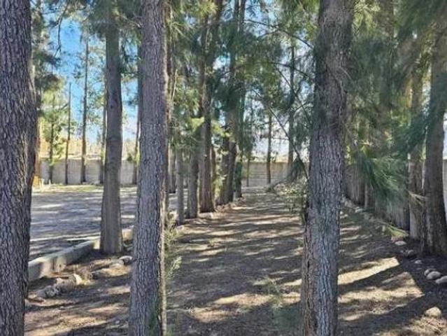 Casa Rural en venta en la Safor, Valencia