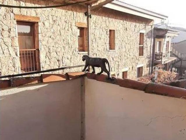 Casa Rural en venta en Piedralaves, Castilla y León