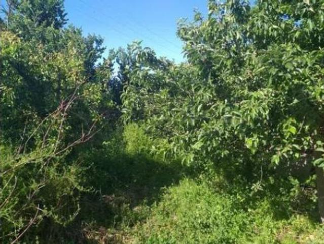 Casa Rural en venta en Pomar De Valdivia, Castilla y León