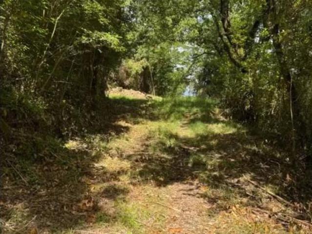 Casa Rural en venta en Pla de l'Estany, Catalunya