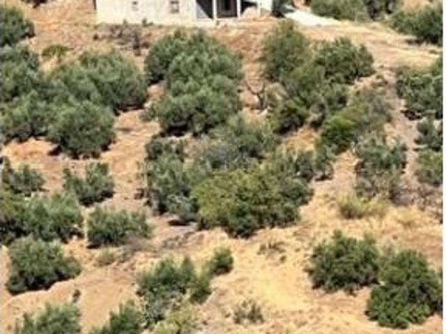 Casa Rural en venta en La Axarquía, Andalucía