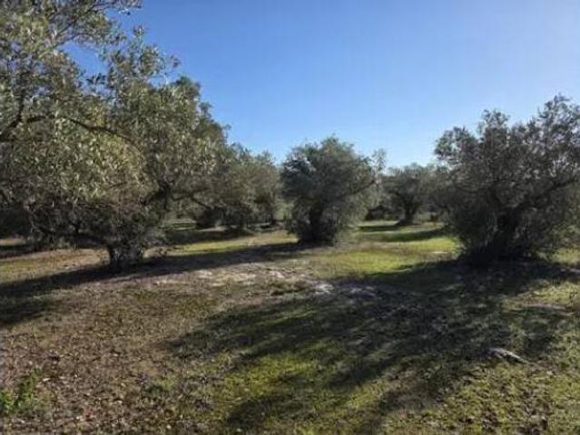 Casa Rural en venta en Raval de Crist, Baix Ebre