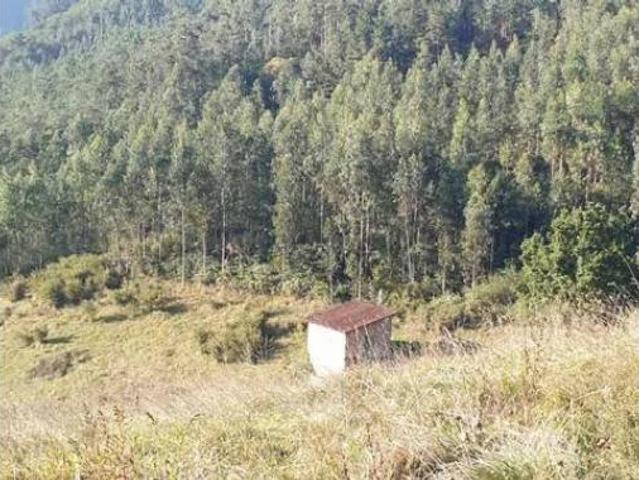 Casa Rural en venta en Salas, Asturias