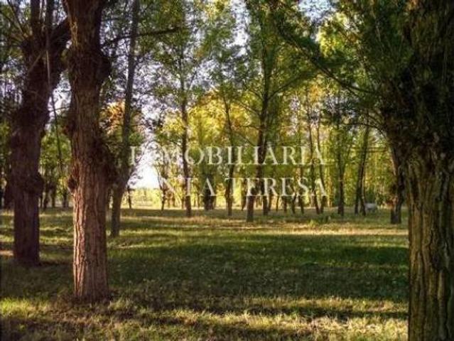 Casa Rural en venta en San Esteban De Gormaz, Castilla y León