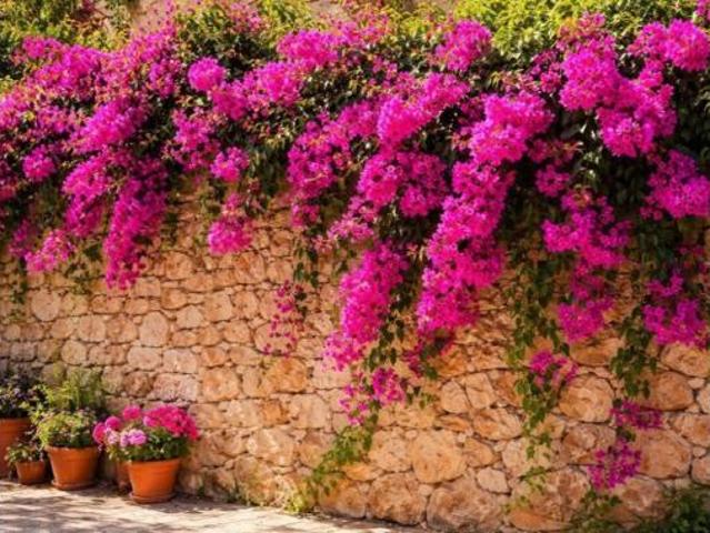 Casa Rural en venta en Pla de Mallorca, Baleares