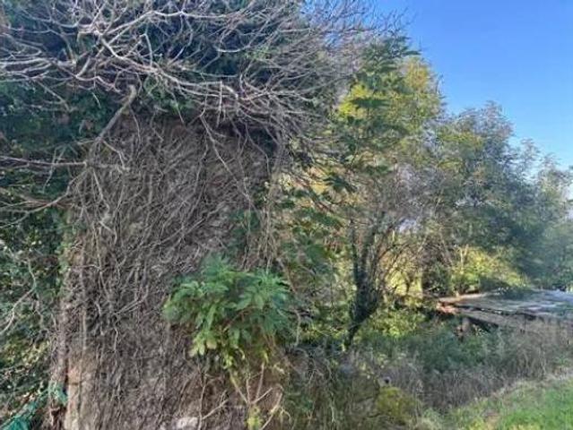 Casa Rural en venta en Saro, Cantabria