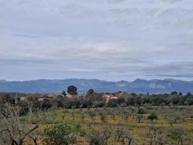 Casa Rural en venta en Ruberts, Pla de Mallorca