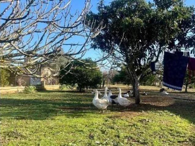 Casa Rural en venta en Pla de Mallorca, Baleares