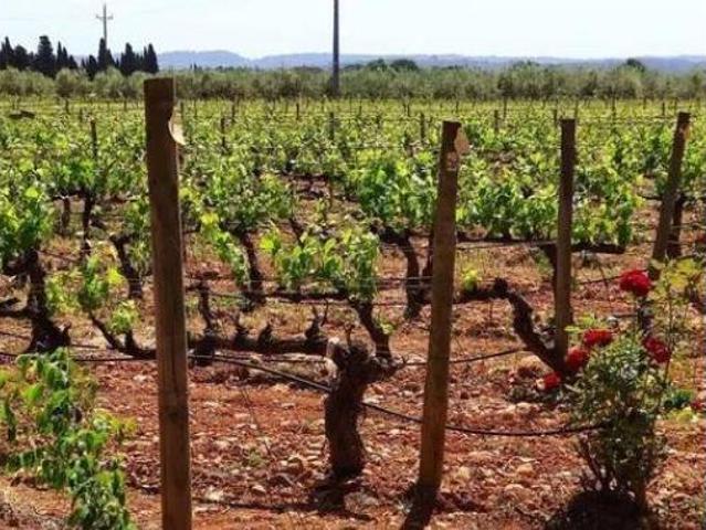 Casa Rural en venta en Pla de Mallorca, Baleares