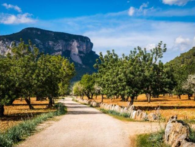 Casa Rural en venta en Pla de Mallorca, Baleares