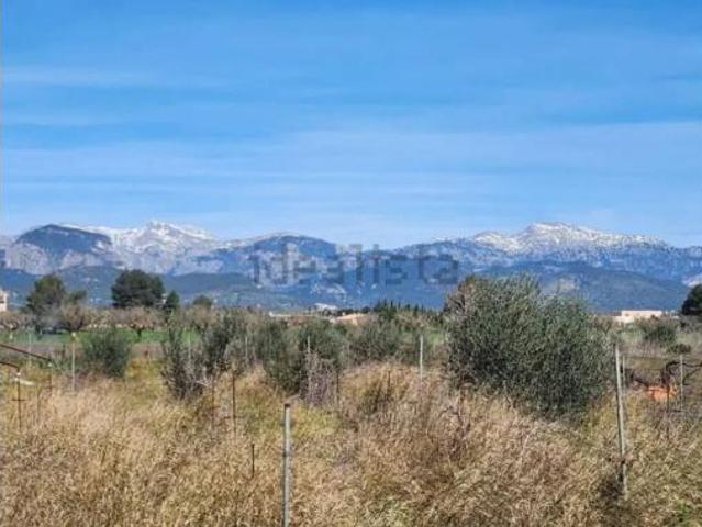 Casa Rural en venta en Biniali, Pla de Mallorca