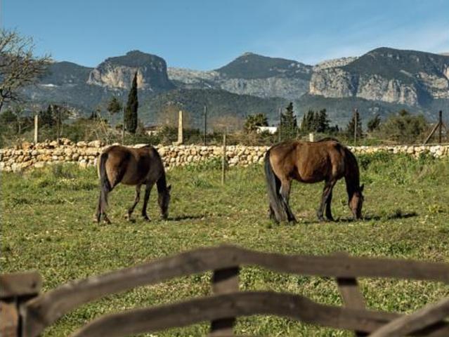 Casa Rural en venta en Pla de Mallorca, Baleares