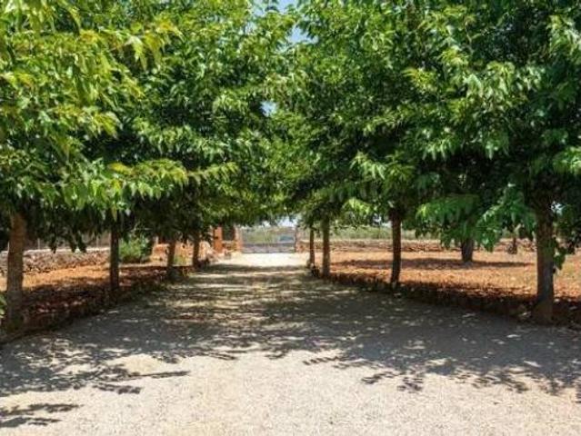 Casa Rural en venta en Biniali, Pla de Mallorca