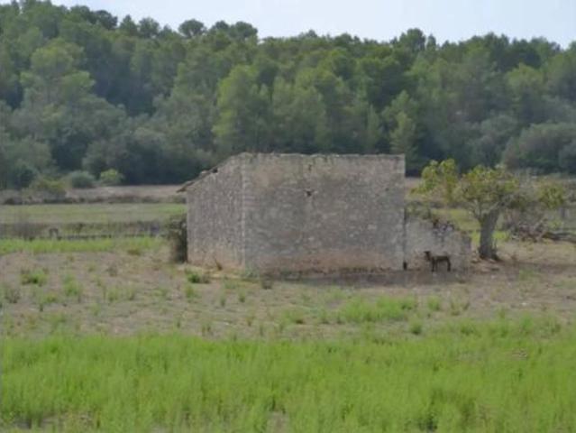 Casa Rural en venta en ses Cases Noves, Pla de Mallorca