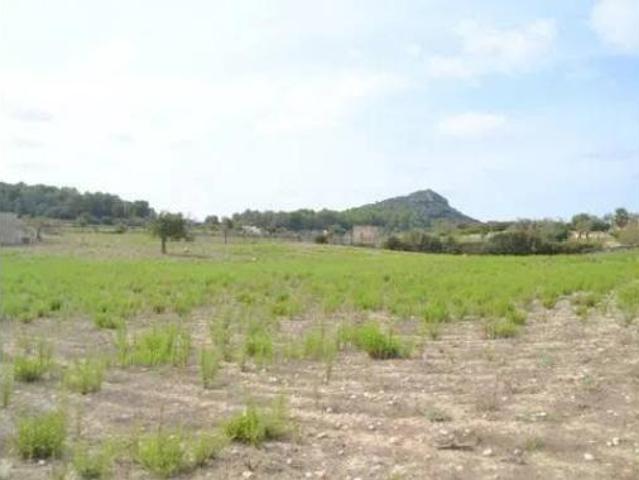 Casa Rural en venta en ses Cases Noves, Pla de Mallorca