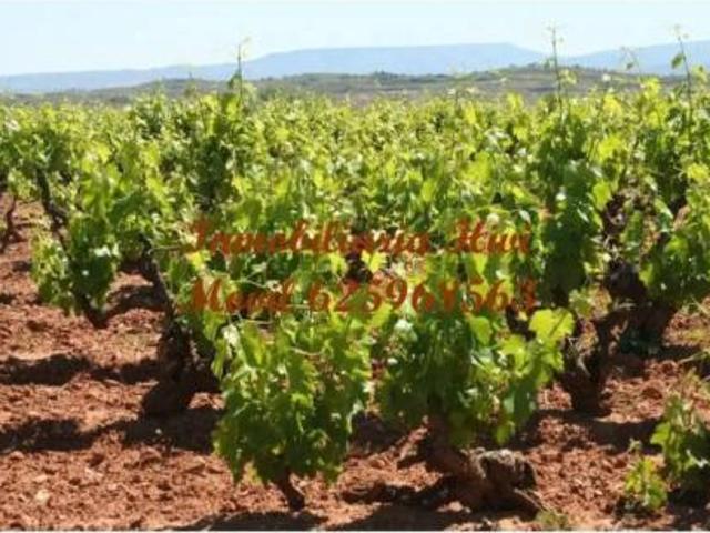 Casa Rural en venta en Tierra de Barros, Extremadura
