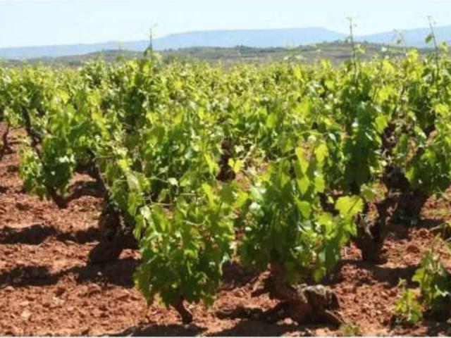 Casa Rural en venta en Tierra de Barros, Extremadura