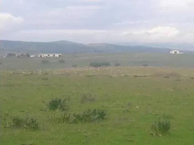 Casa Rural en venta en Talarrubias, Extremadura