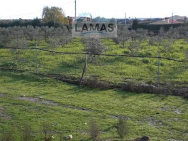 Casa Rural en venta en Talayuela, Extremadura