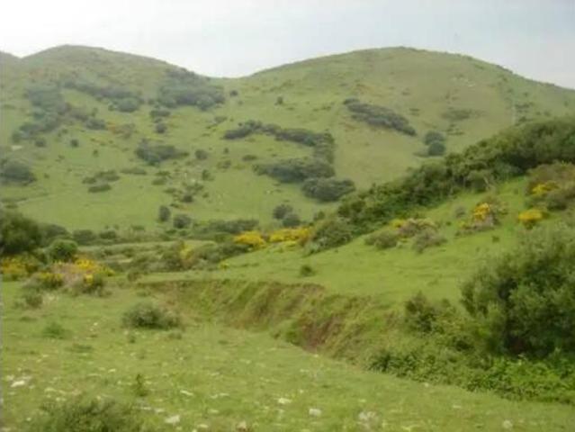 Casa Rural en venta en Punta Europa, Campo de Gibraltar