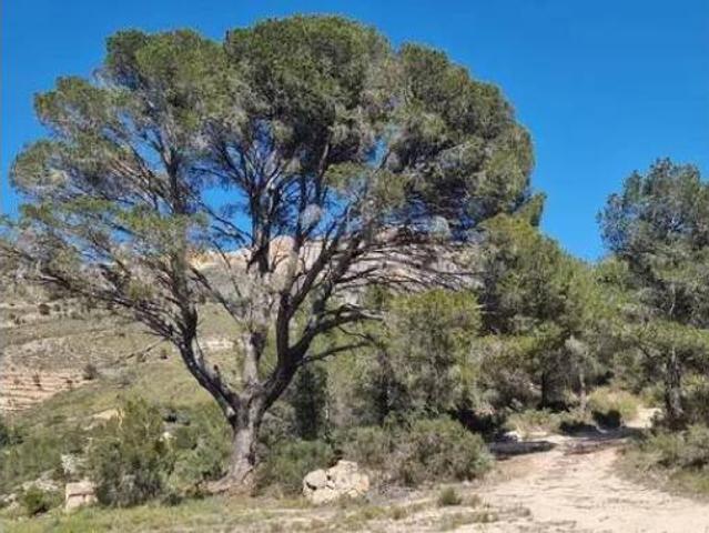 Casa Rural en venta en l'Alcoià, Valencia