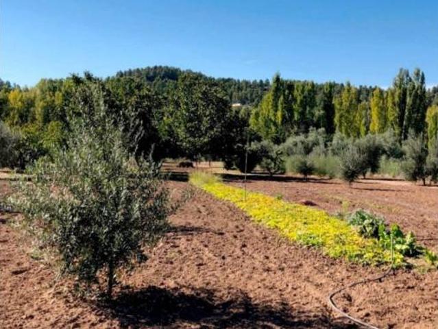 Casa Rural en venta en Matarraña / Matarranya, Torre Del Compte