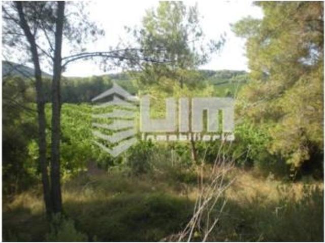 Casa Rural en venta en el Camp de Morvedre, Valencia