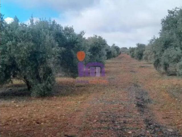 Casa Rural en venta en Valdepeñas, Ciudad Real