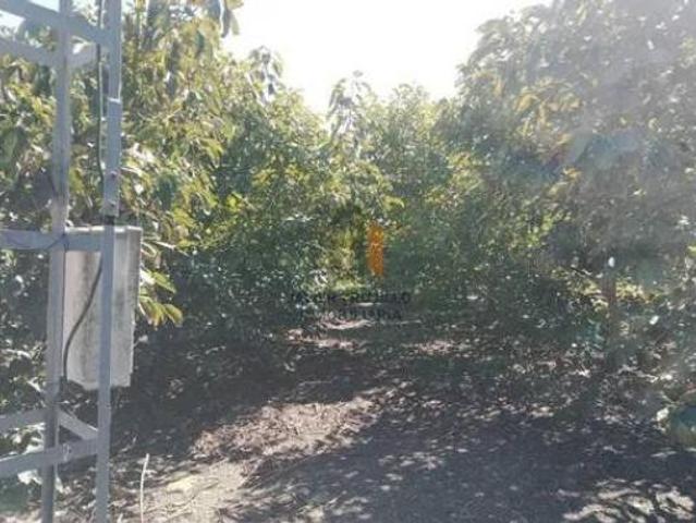 Casa Rural en venta en Almayate Bajo, La Axarquía