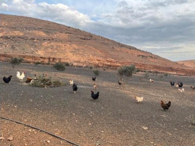 Casa Rural en venta en Playa Blanca, Yaiza