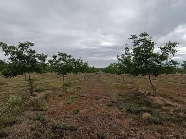 Casa Rural en venta en Zalamea De La Serena, Extremadura