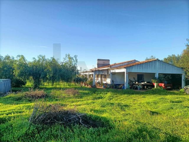 Quinta venda em Vidigueira, Beja