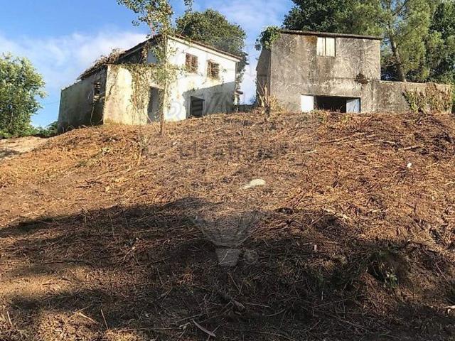 Quinta venda em Amarante, Porto