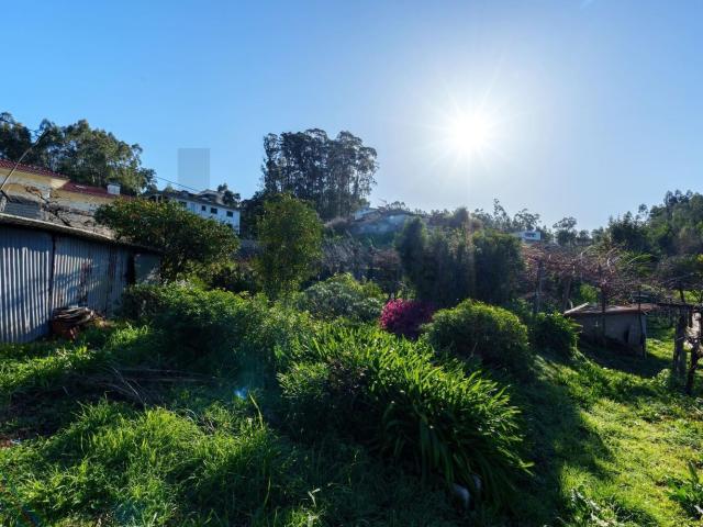 Quinta venda em Vila De Cucujães, Ínsua