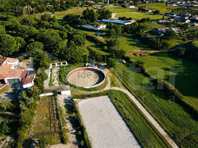Quinta venda em Benavente, Santarém