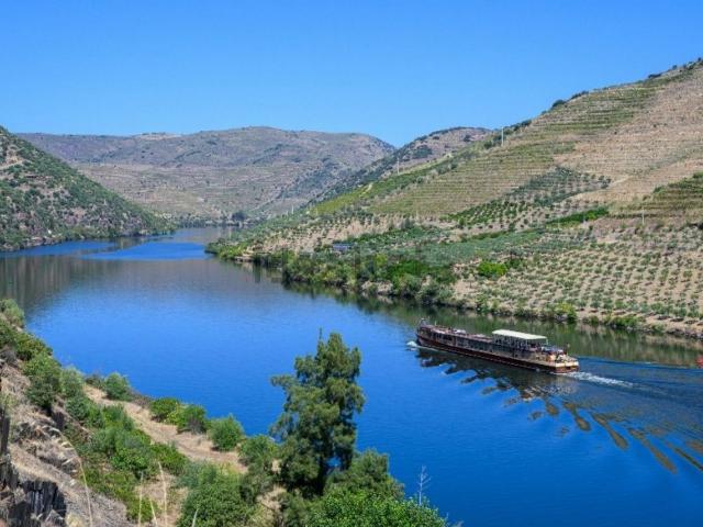 Quinta venda em Vila Nova de Foz Côa