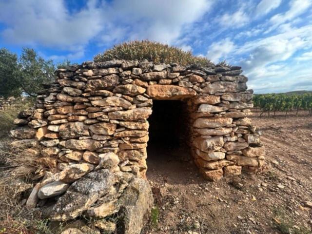 Casa Rural en venta en Vila-rodona, Tarragona