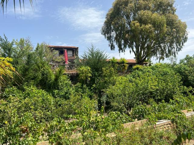 Casa Rural en venta en Adeje, Santa Cruz de Tenerife