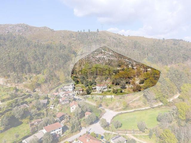 Quinta venda em Vilela, Seramil e Paredes Secas, Amares