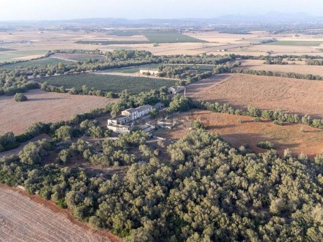 Casa Rural en venta en Pla de Mallorca, Baleares