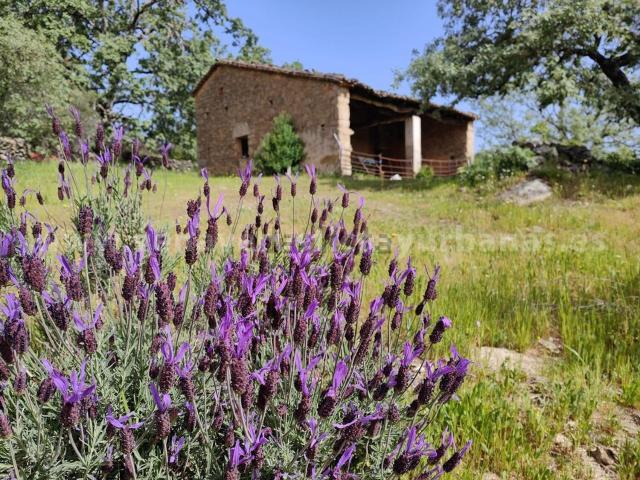 Casa Rural en venta en Villanueva De La Vera, Extremadura